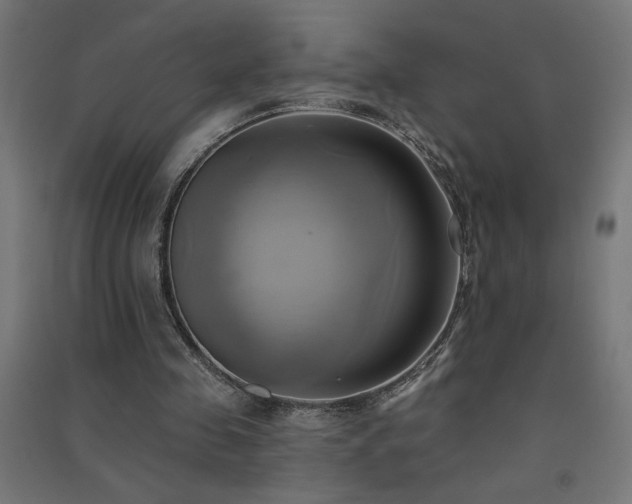 X0000091580341200708201212