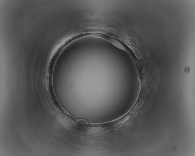 X0000091580342200708201212
