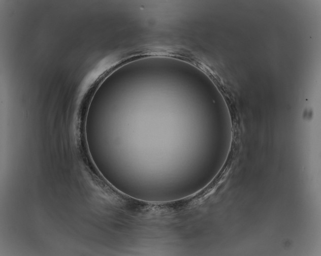 X0000091580343200708201212