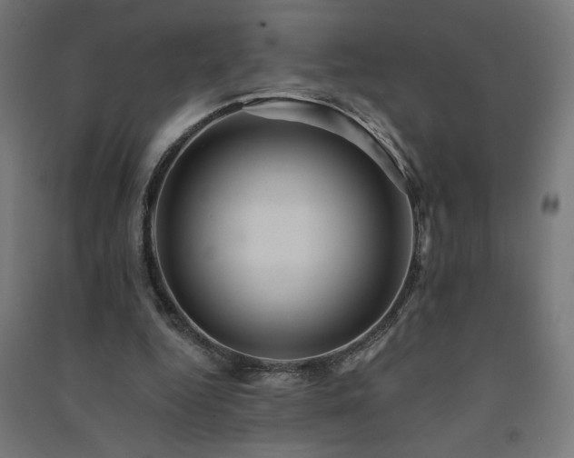 X0000091580344200708201212