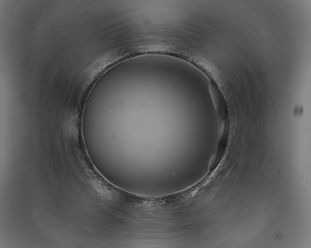 X0000091580345200708201212