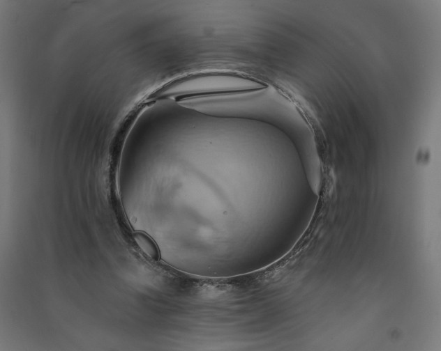 X0000091580346200708201212