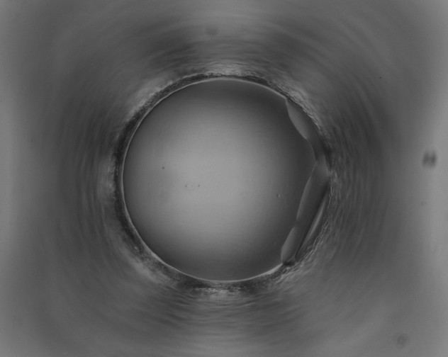 X0000091580347200708201212