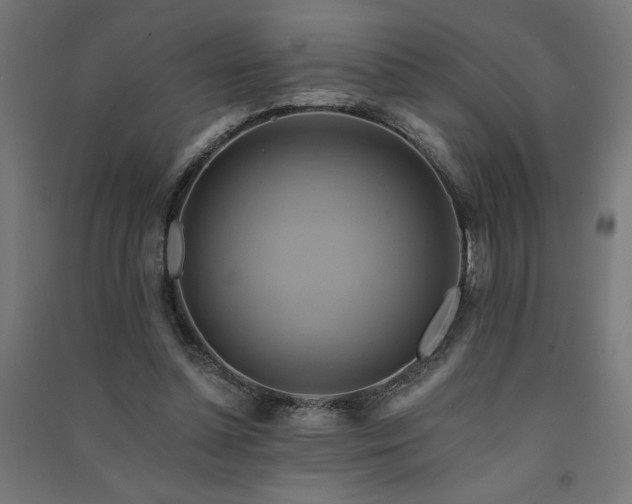 X0000091580348200708201212