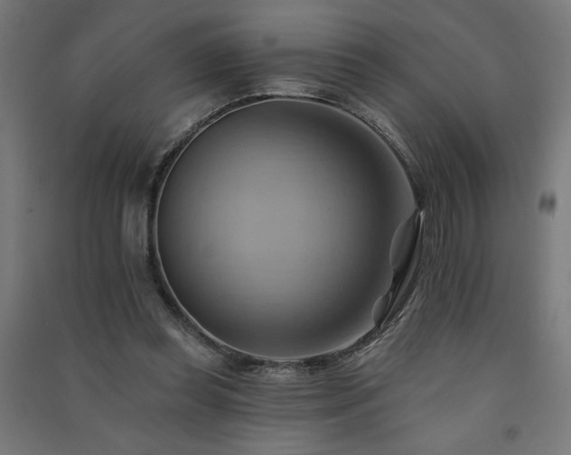 X0000091580349200708201212
