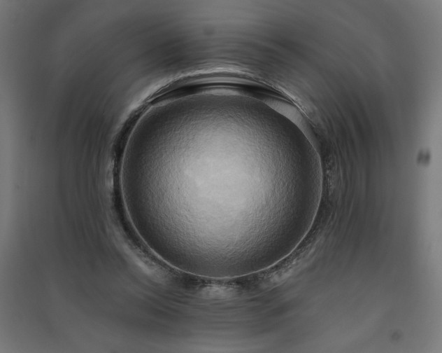 X0000091580350200708201212