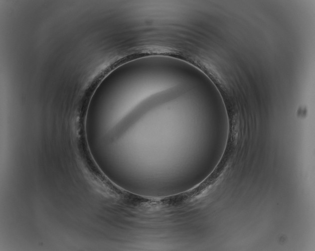 X0000091580351200708201212