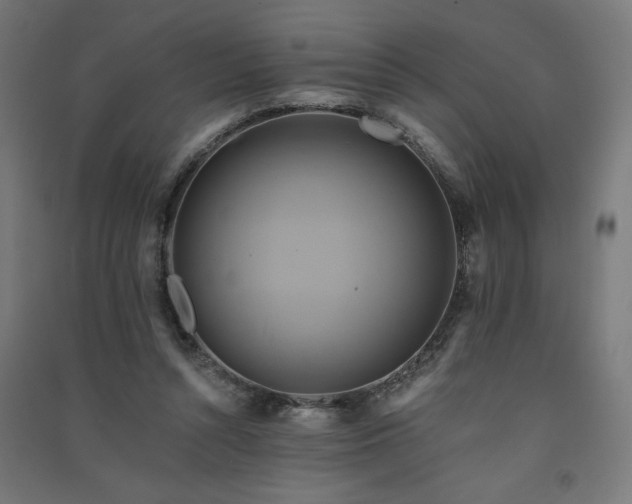 X0000091580352200708201212