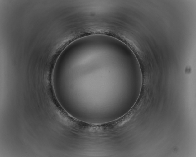 X0000091580353200708201212