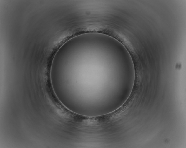 X0000091580354200708201212