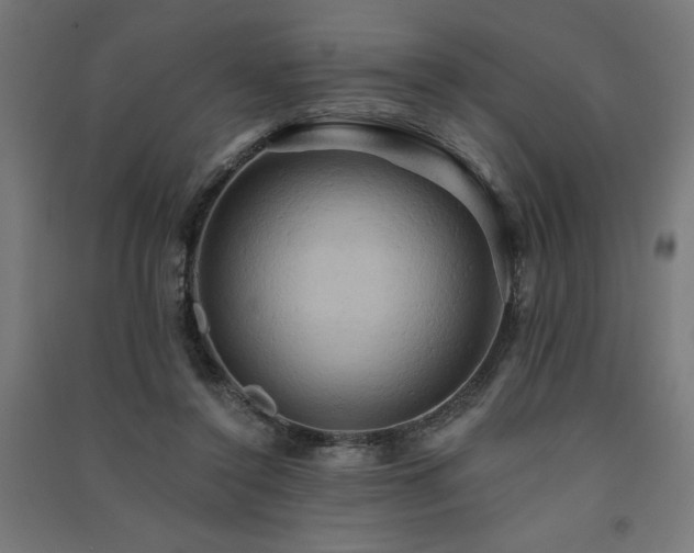 X0000091580356200708201213