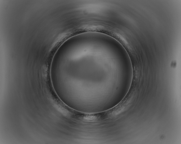X0000091580357200708201213