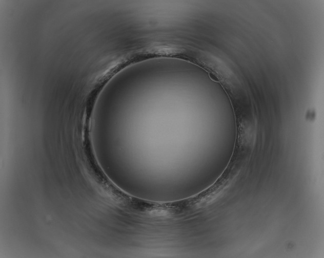 X0000091580358200708201213