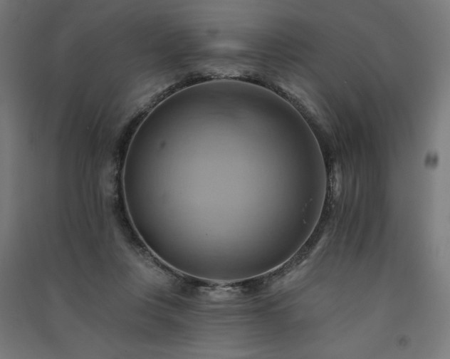 X0000091580359200708201213
