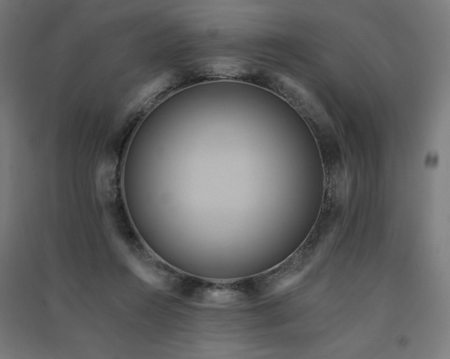 X0000091580360200708201213