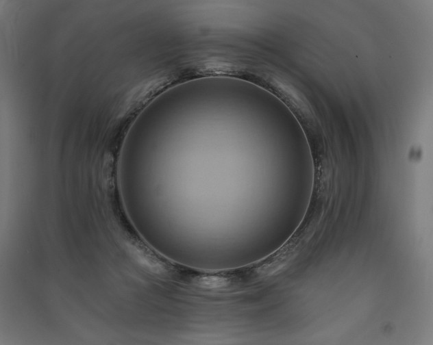 X0000091580361200708201213