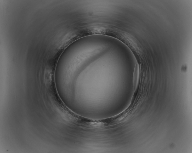 X0000091580363200708201213