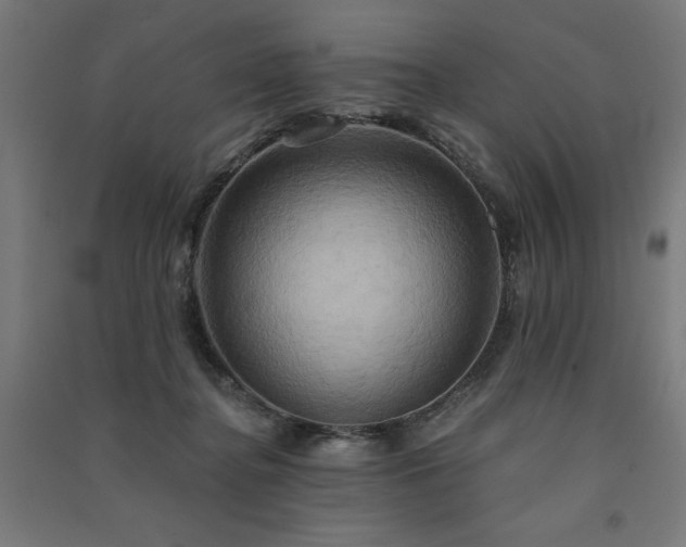 X0000091580364200708201213