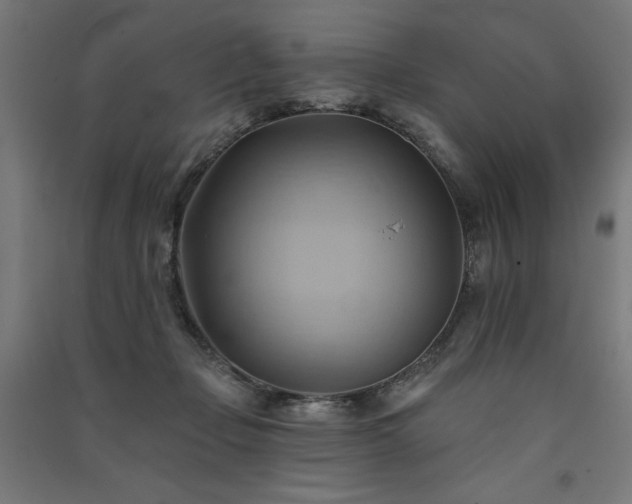 X0000091580365200708201213