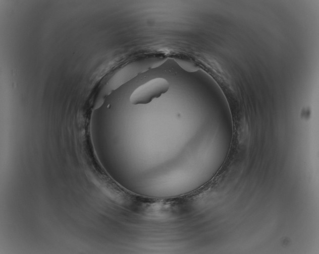 X0000091580366200708201213