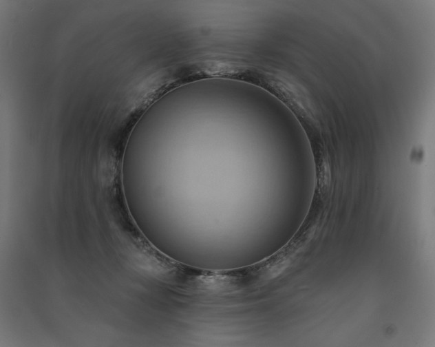X0000091580367200708201213