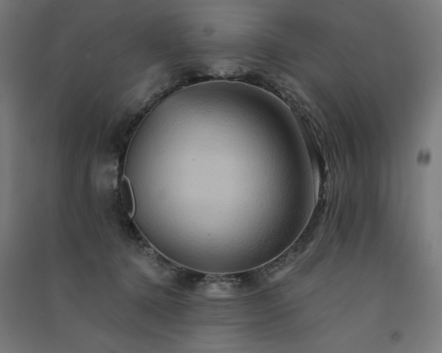 X0000091580368200708201213