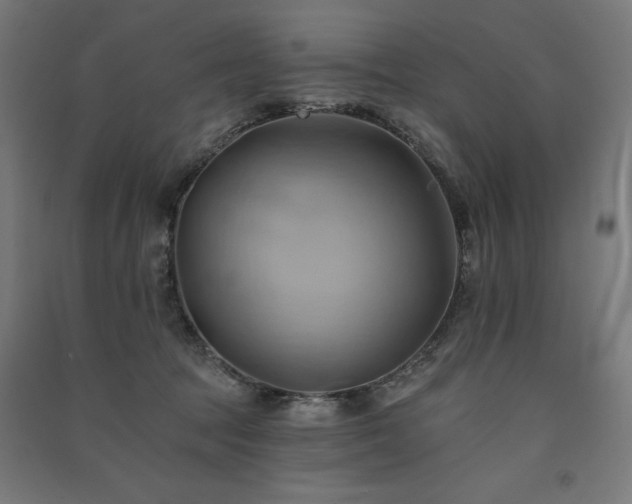 X0000091580369200708201213