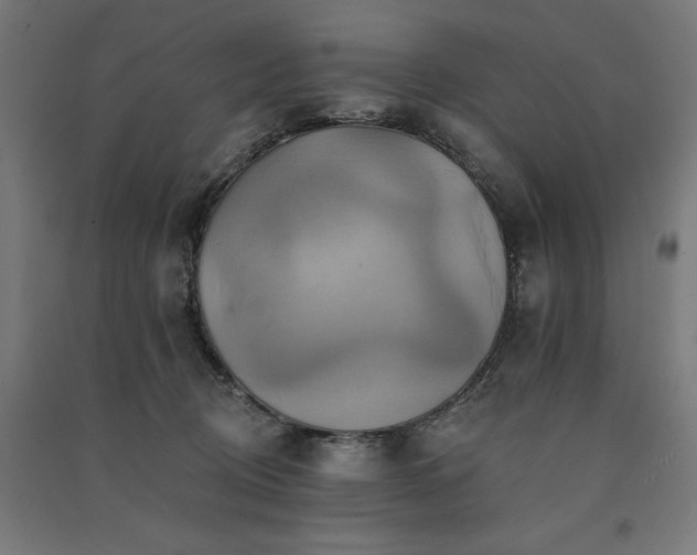 X0000091580370200708201213