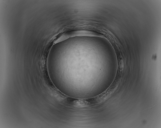 X0000091580372200708201213