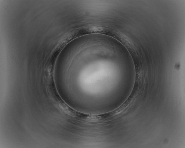 X0000091580373200708201213