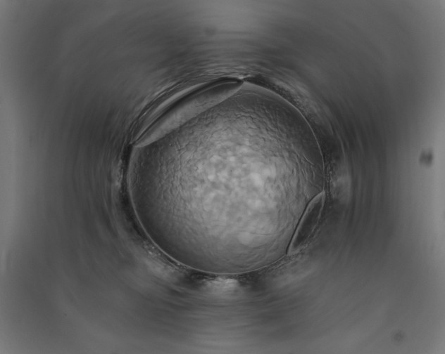 X0000091580374200708201213