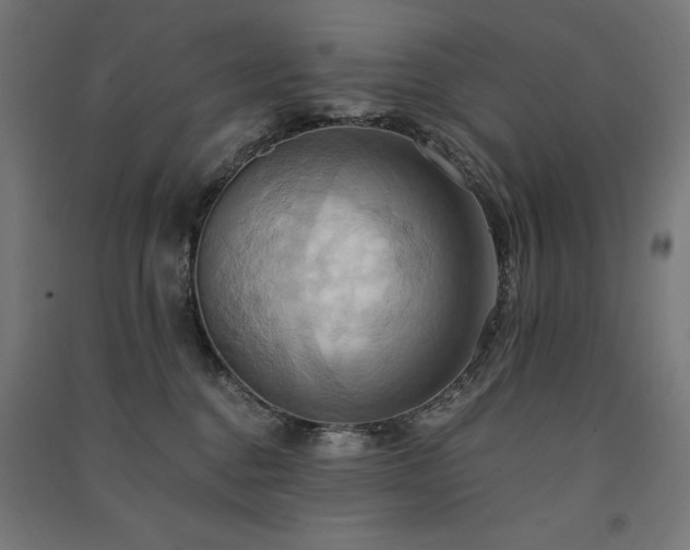 X0000091580376200708201213