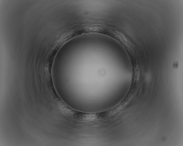 X0000091580377200708201213