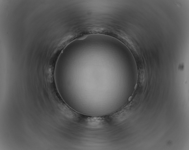 X0000091580378200708201213