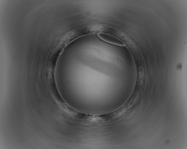 X0000091580379200708201213