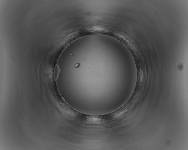 X0000091580380200708201213