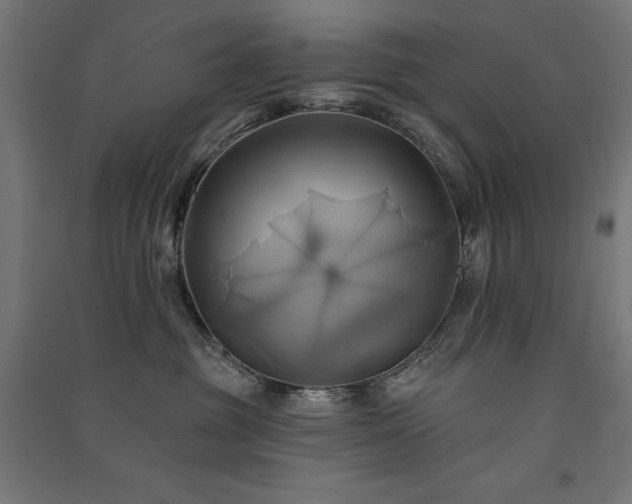 X0000091580381200708201213