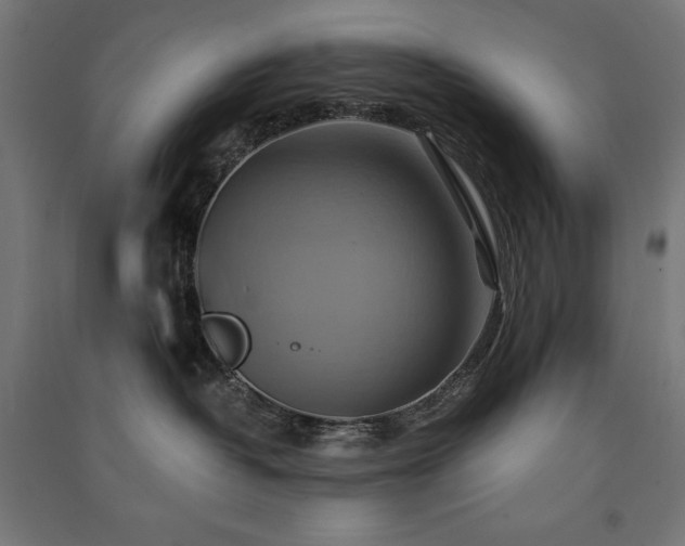 X0000091580382200708201213