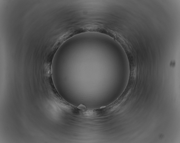 X0000091580383200708201213