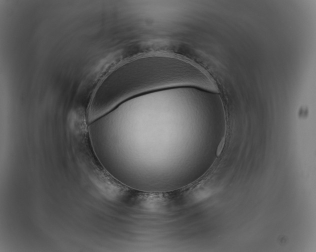 X0000091580384200708201213