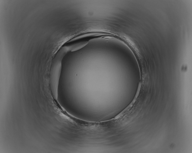 X0000091580385200708201212
