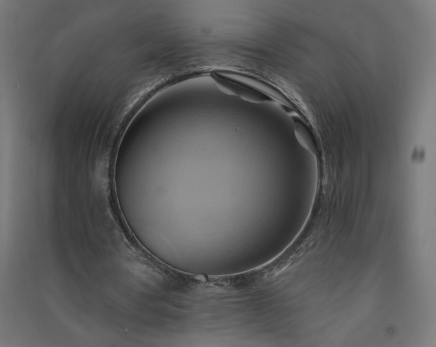 X0000091580386200708201212