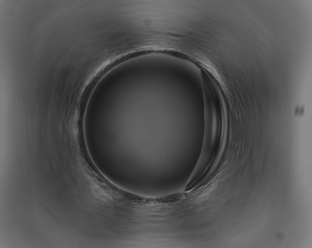 X0000091580387200708201212