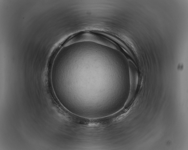 X0000091580388200708201212