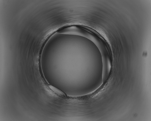 X0000091580389200708201212
