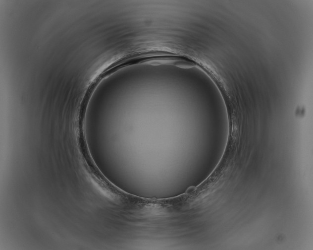 X0000091580390200708201212