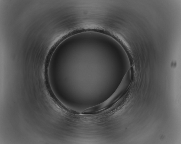X0000091580391200708201212