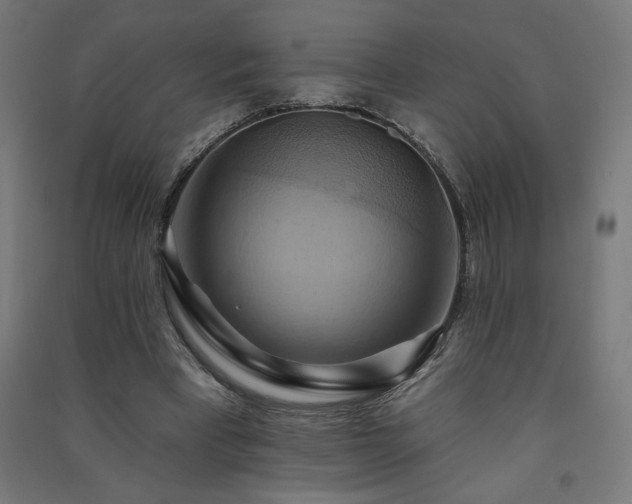 X0000091580393200708201212