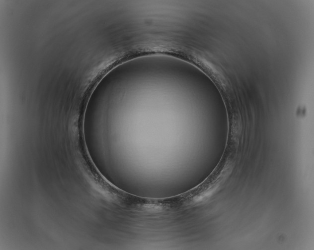 X0000091580394200708201212