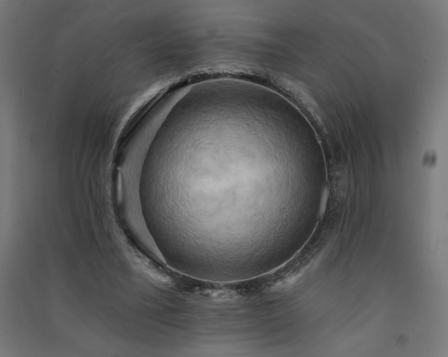 X0000091580395200708201212